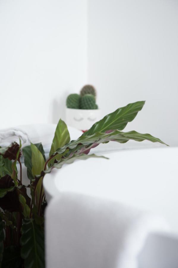 Le Terrazze Del Duca San Pietro Guesthouse Rome Buitenkant foto
